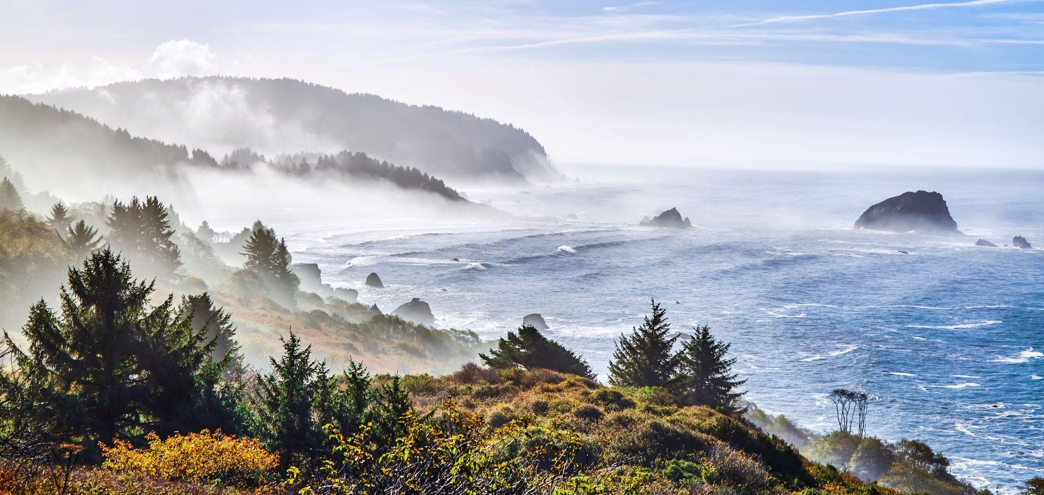 The Wedding Website of Stephen Eshner and Jennifer Newton