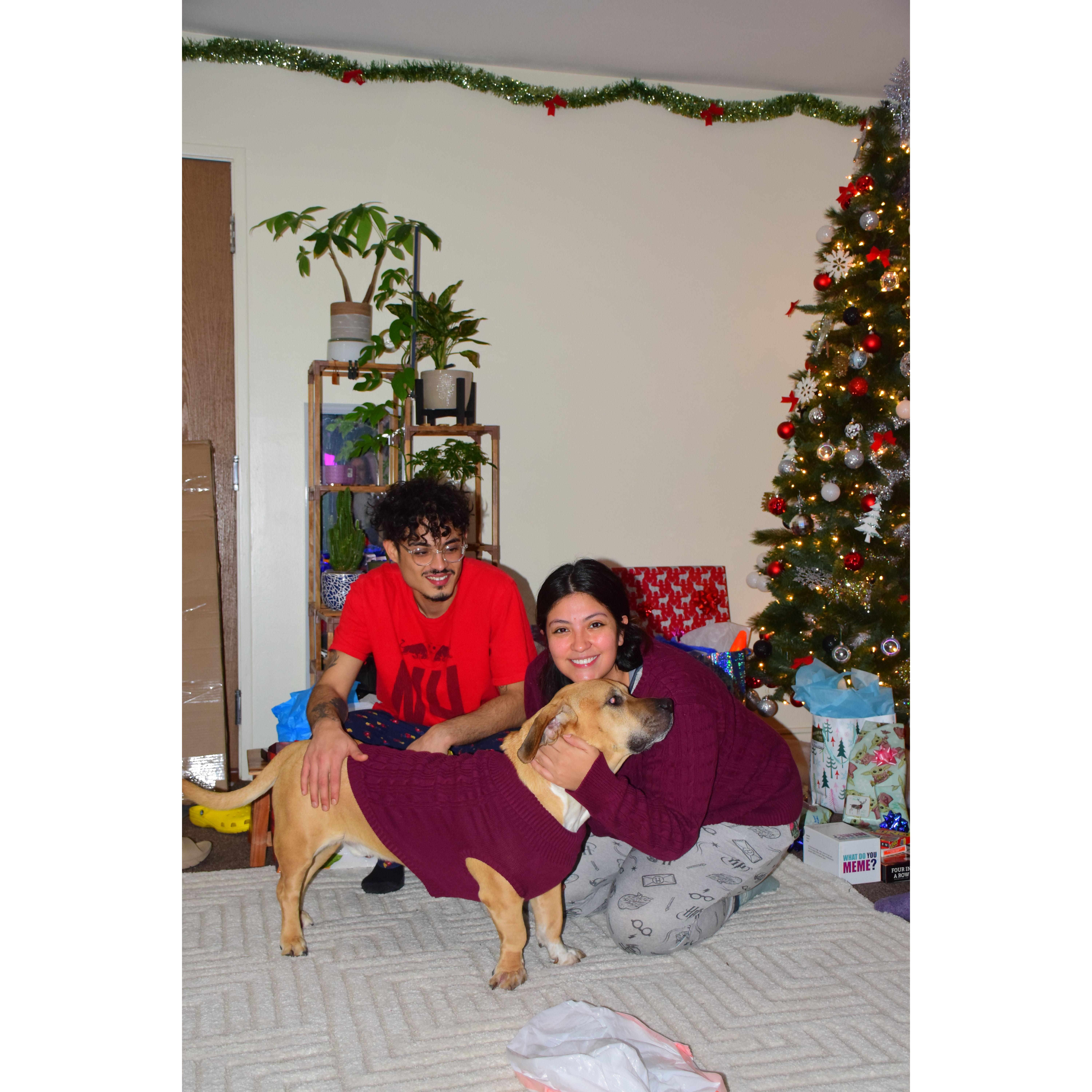 Christmas in our Apartment