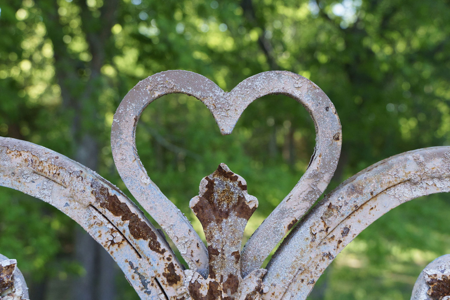 The Wedding Website of London Senf and Mason Hodgkins