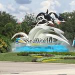 SeaWorld Orlando