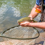 Fly Fishing