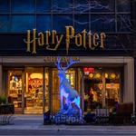 Harry Potter Shop Chicago