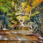 Robert H. Treman State Park