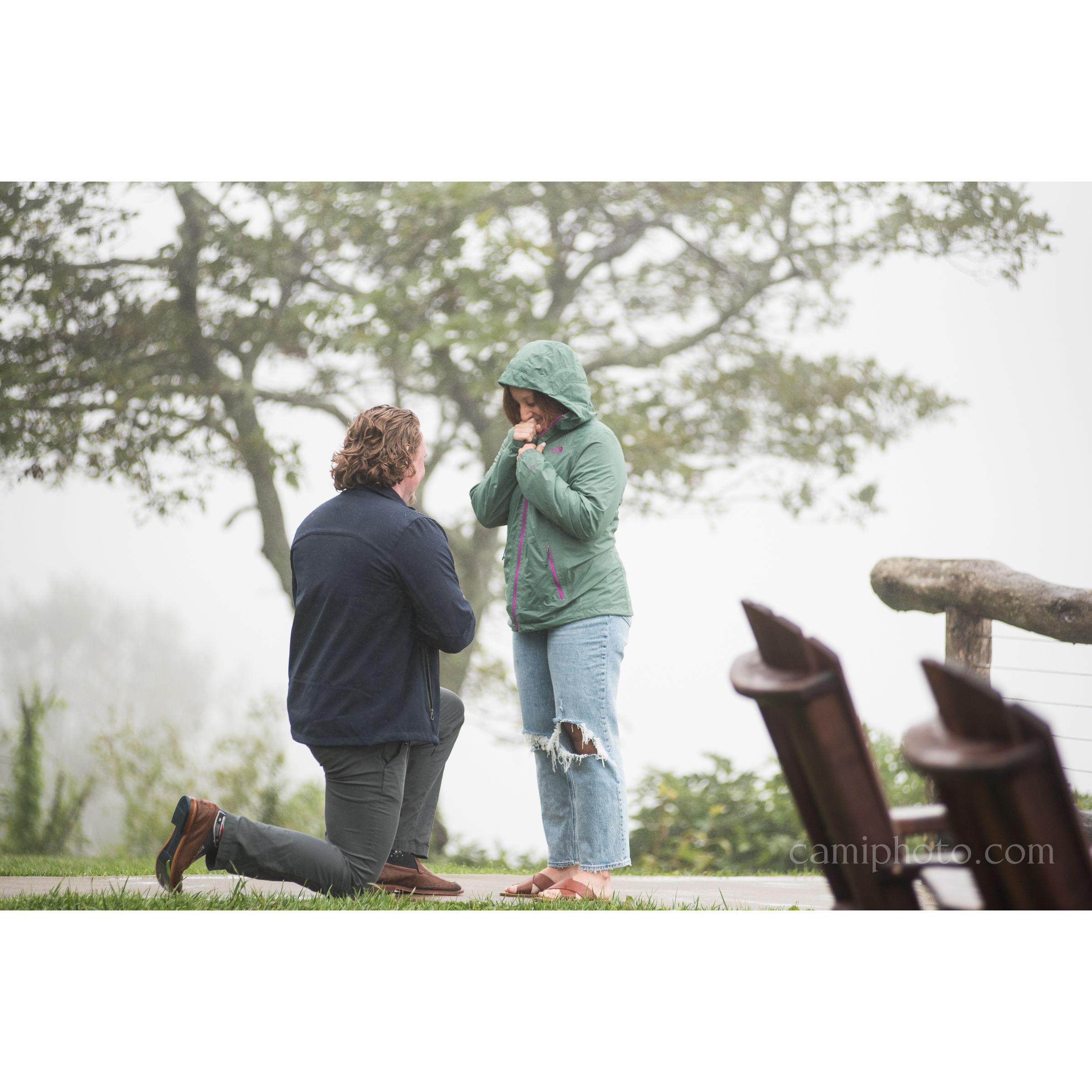 The engagement! 