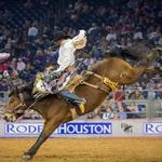 Houston Livestock Show and Rodeo