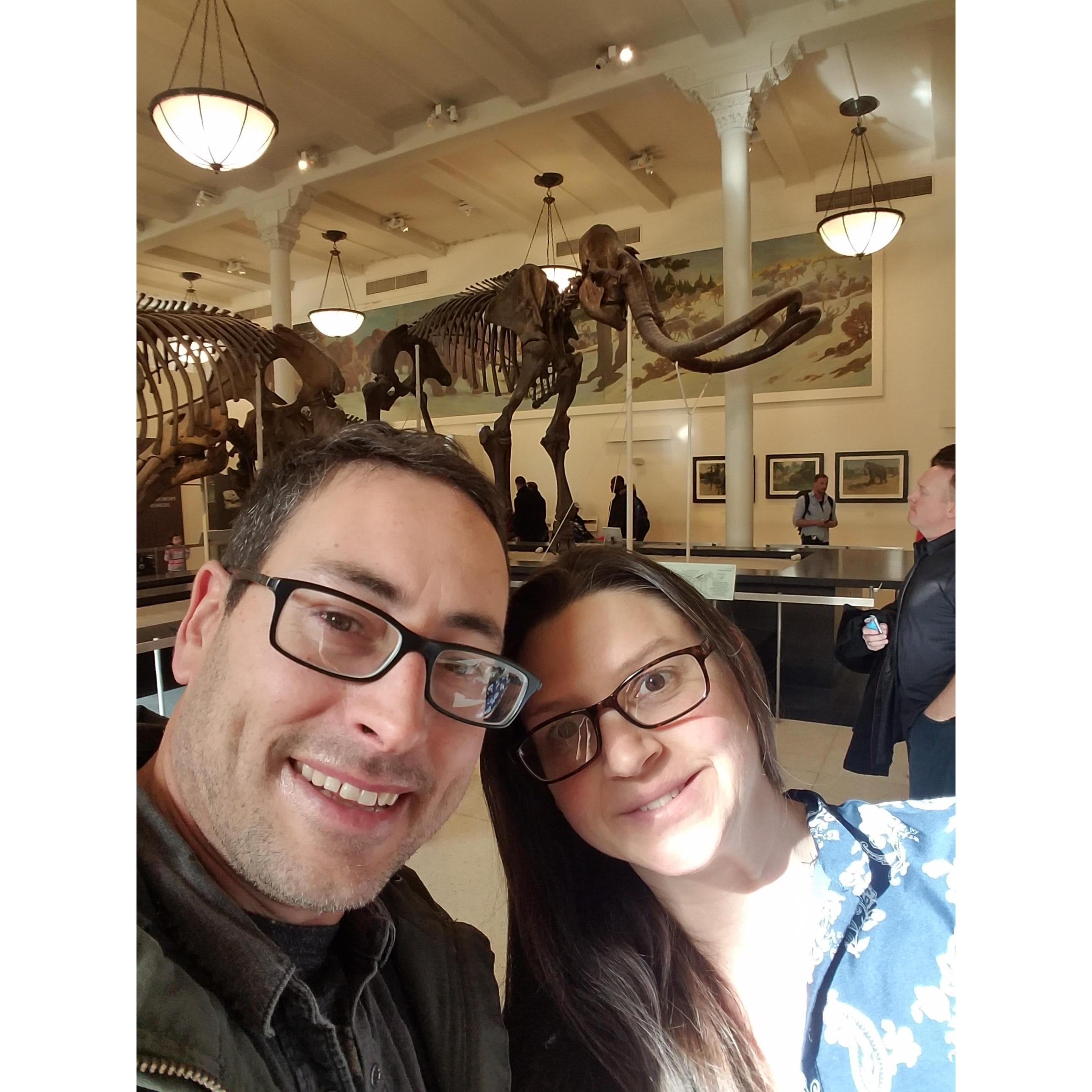 Hanging with the dinosaurs at New York Natural History Museum.