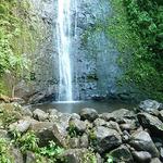 Na Ala Hele: Manoa Falls Trail