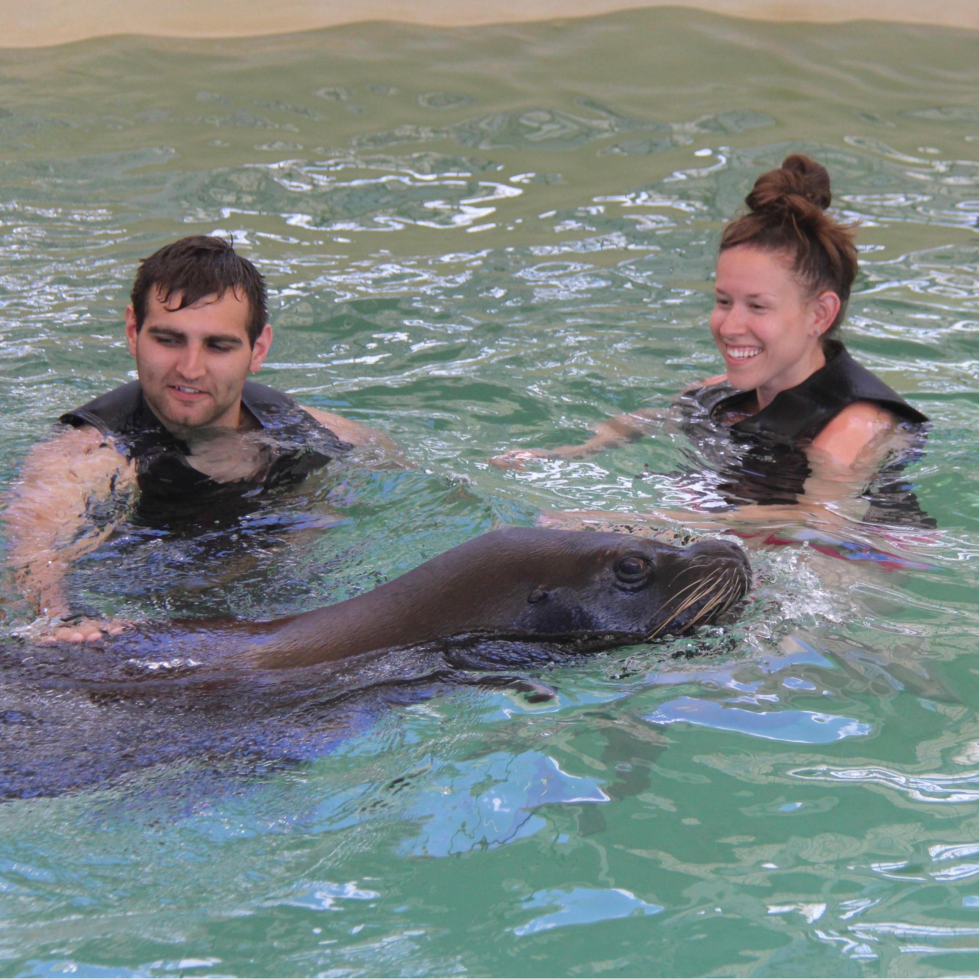 2017 St. Thomas, USVI 🌊