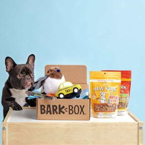 BarkBox Monthly Dog Toy Subscription