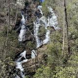 Vogel State Park