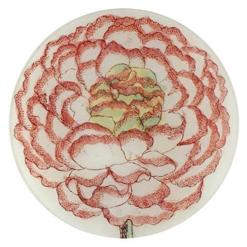 Ranunculus 851 E Plate
