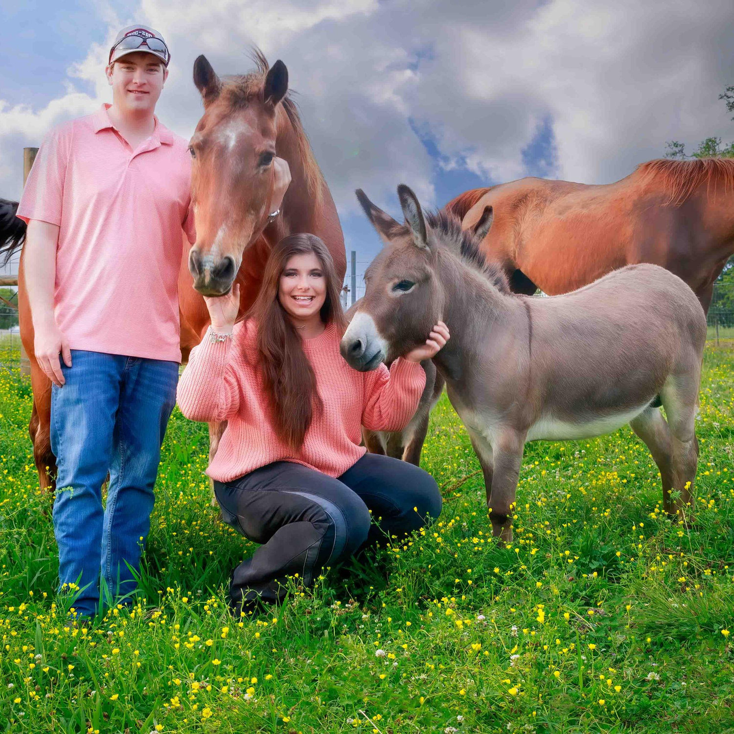 I'm loving the donkey, but the horse-not so much
