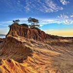Torrey Pines