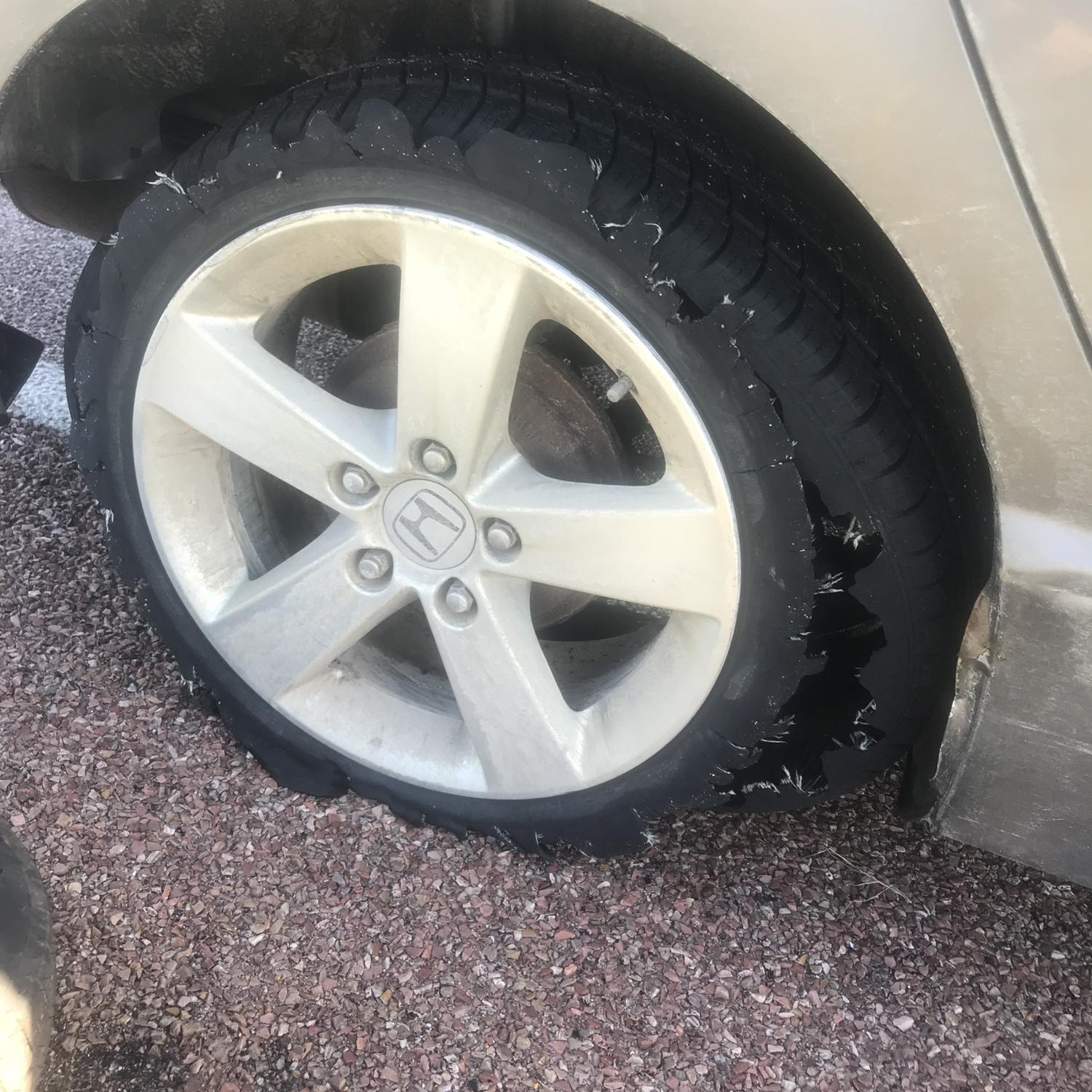 Best way to end our Badlands trip!