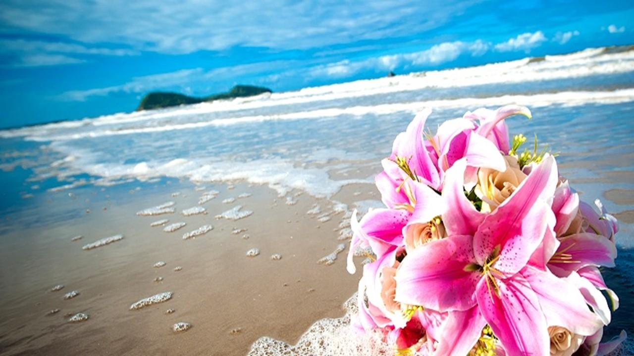 The Wedding Website of Beth Yager and Tommy DeHart