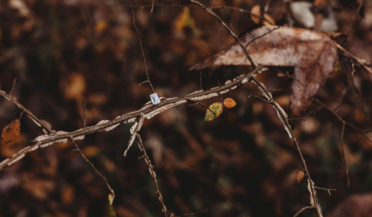 Footer image