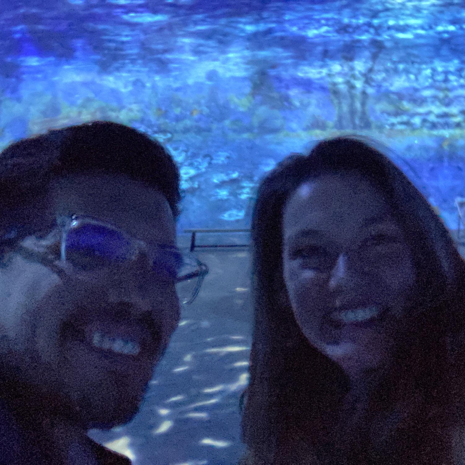 Christine told Alejandro she loves Monet, and the next thing she knew, he had gotten tickets to the Monet Experience in DC.  Highly recommend!