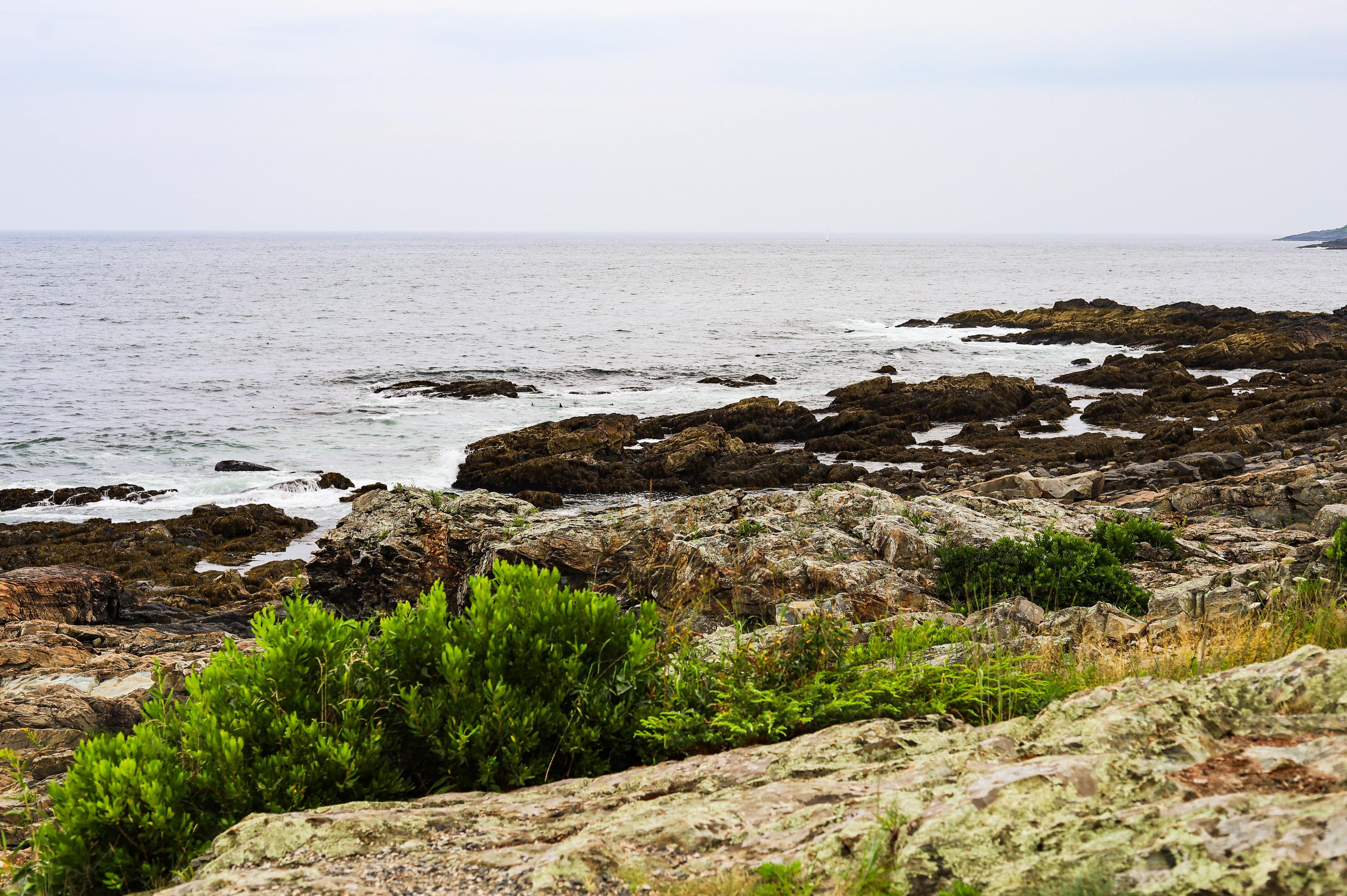 The Wedding Website of Isabel Block and Joshua Nickerson