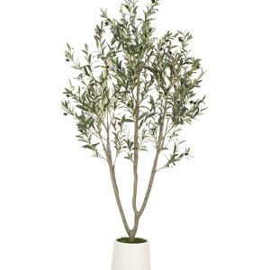 VIVATREES Olive Trees Artificial Indoor, 6FT Tall Faux Olive Tree with White Tall Planter, Artificial Plants with Natural Wood Trunk and Lifelike Fruits for Home Office Decor
