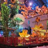 Bellagio Conservatory & Botanical Gardens     / /     Fountains of Bellagio