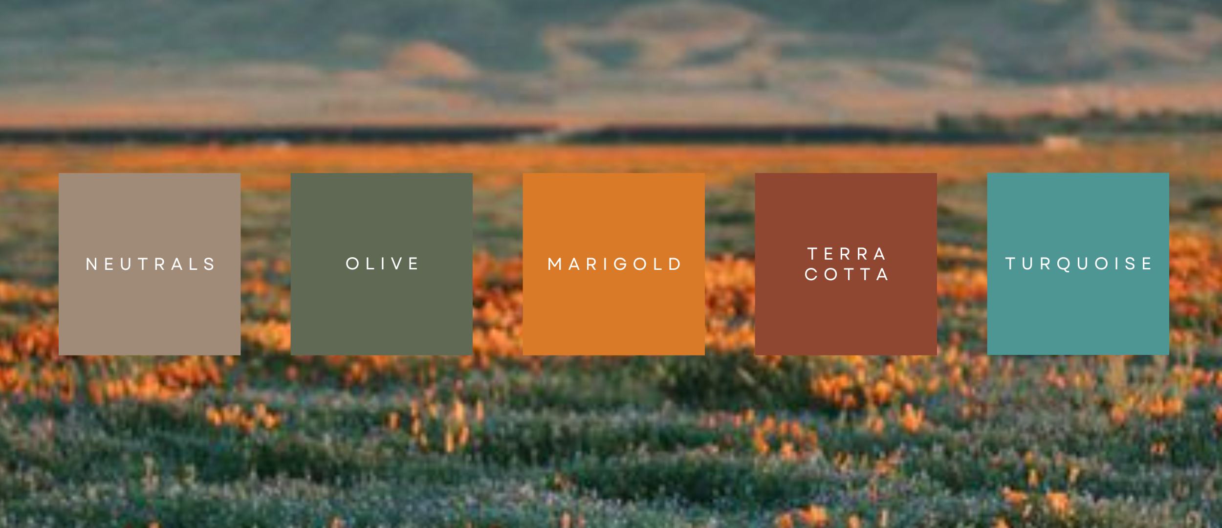 The Wedding Website of Karissa Muilenburg and Corey Nail