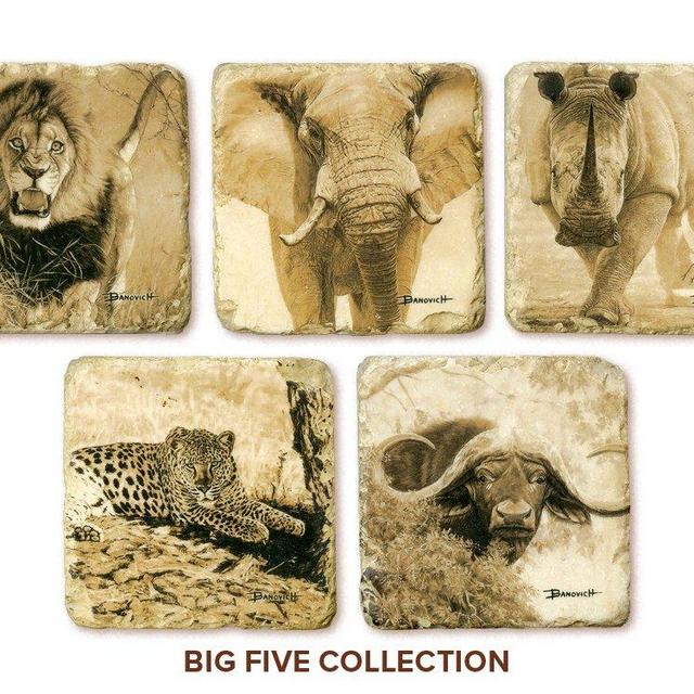 Banovich Wild Accents-Big Five-Coasters