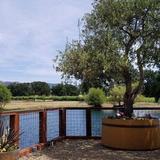 Reynolds Family Winery