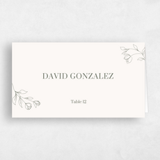 Custom Message Napkin