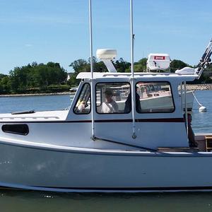 Pelagic Birding Trip via Robertson Sea Tours