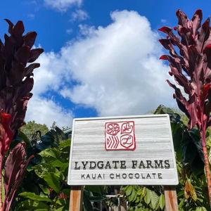 Kauai Chocolate Farm Tour and Tasting