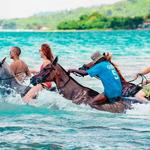 Reggae Horseback Riding