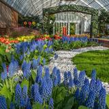 Phipps Conservatory and Botanical Gardens