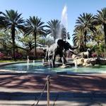Audubon Zoo