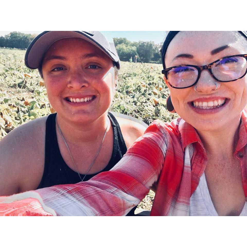 Mid pumpkin picking! (2018)