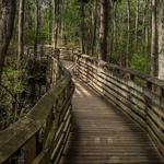 First Landing State Park