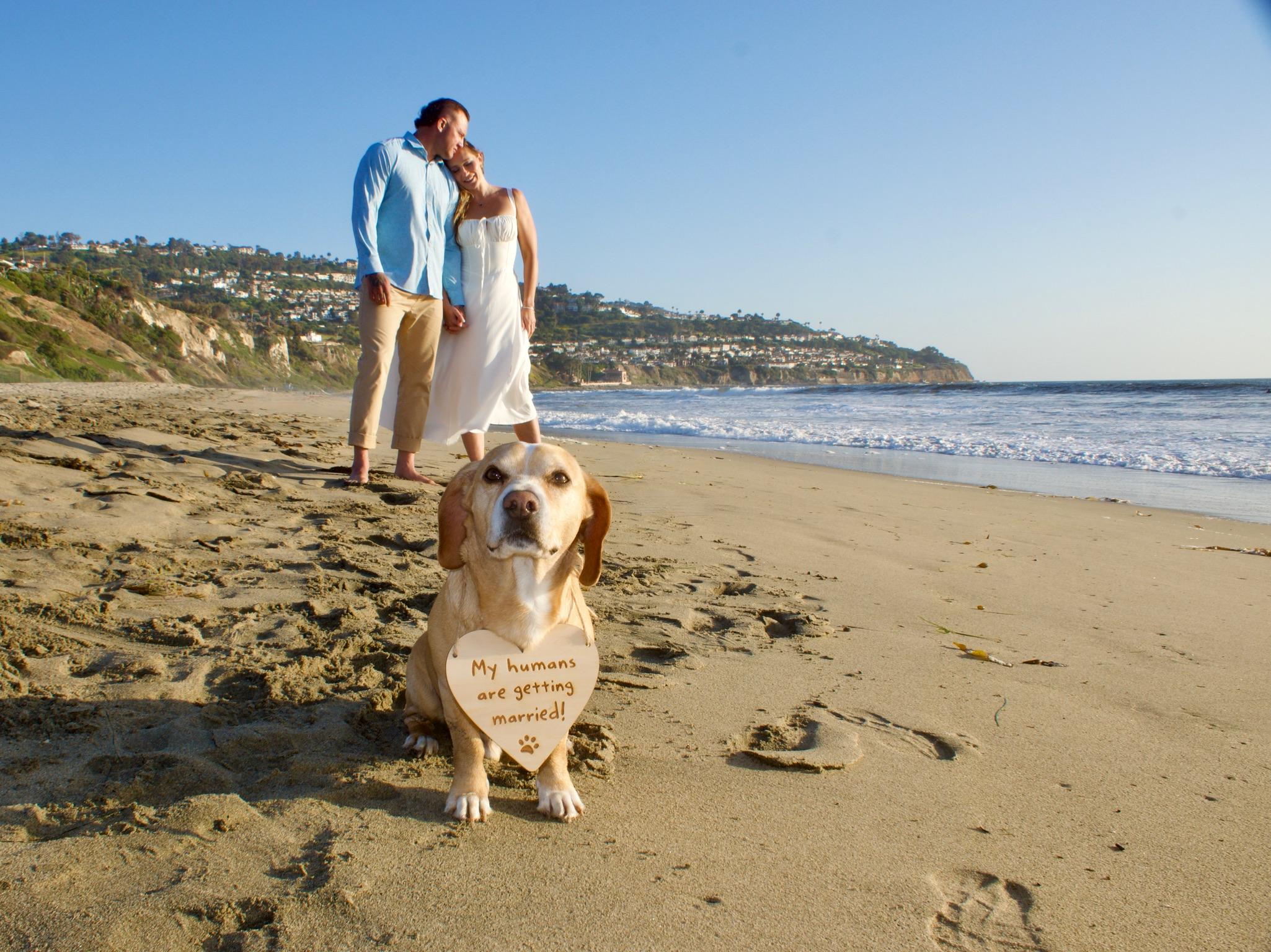 The Wedding Website of Isabella de la Espriella and William Gray IV