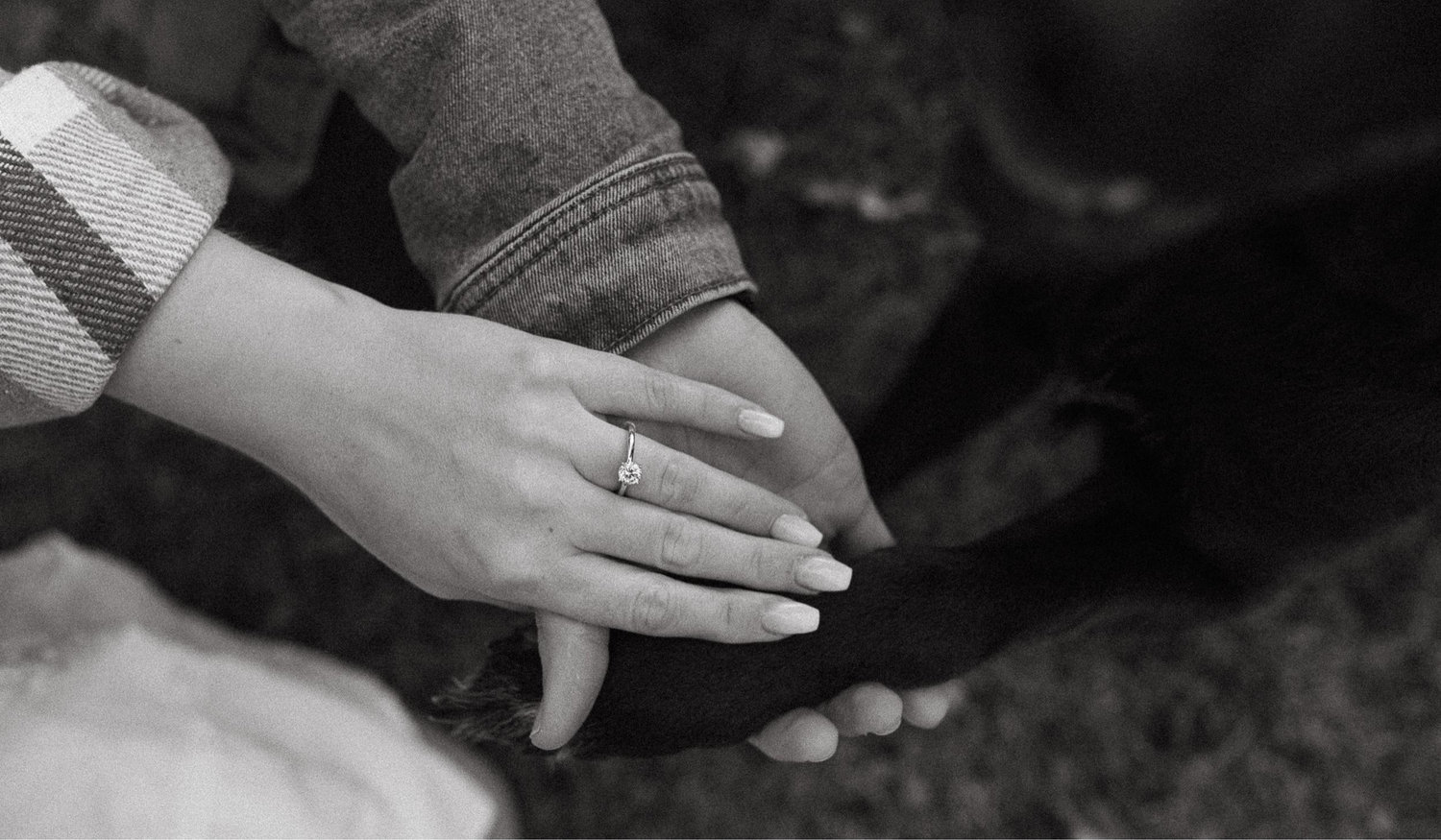 The Wedding Website of Tina DiStefano and Dylan Greene