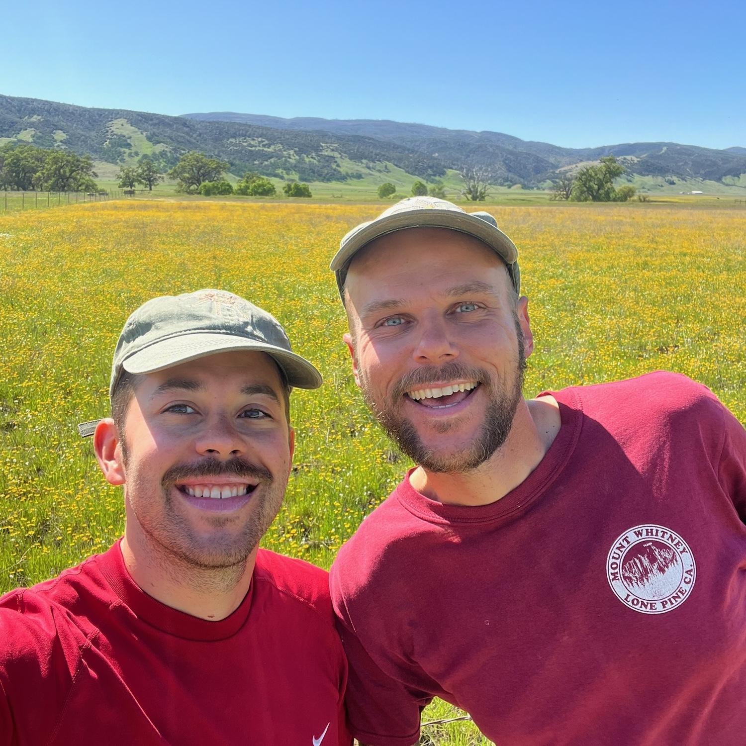 Superbloom in Lake County