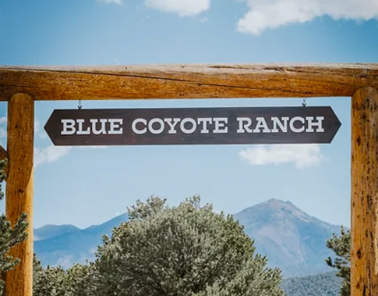 The Wedding Website of Erika Hodges and David Balogh