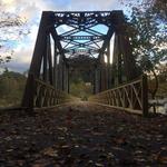 Powell River Trail