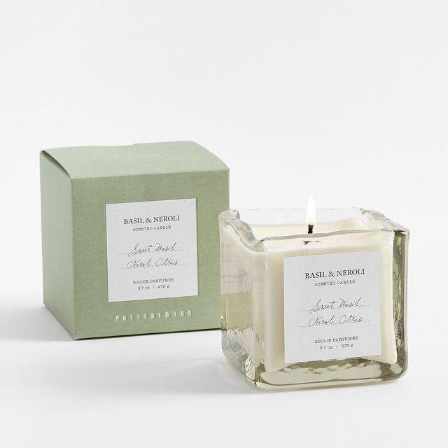Verte Homescent: Clear (Cut Basil): Large