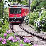 Hakone to Odawara Train