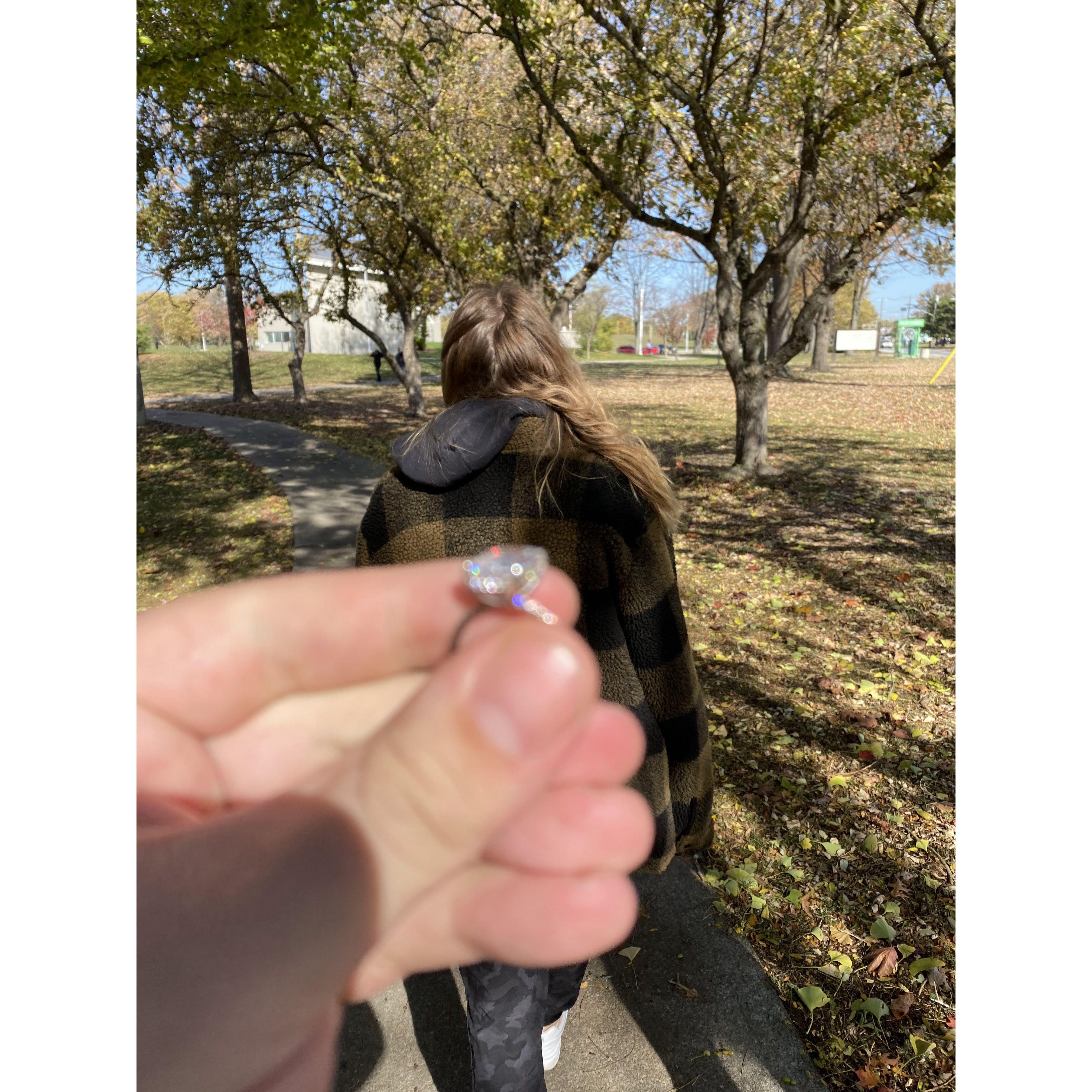 The Proposal