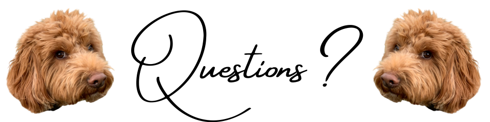 The Wedding Website of Larri Sapielak and Reilly Hayhurst