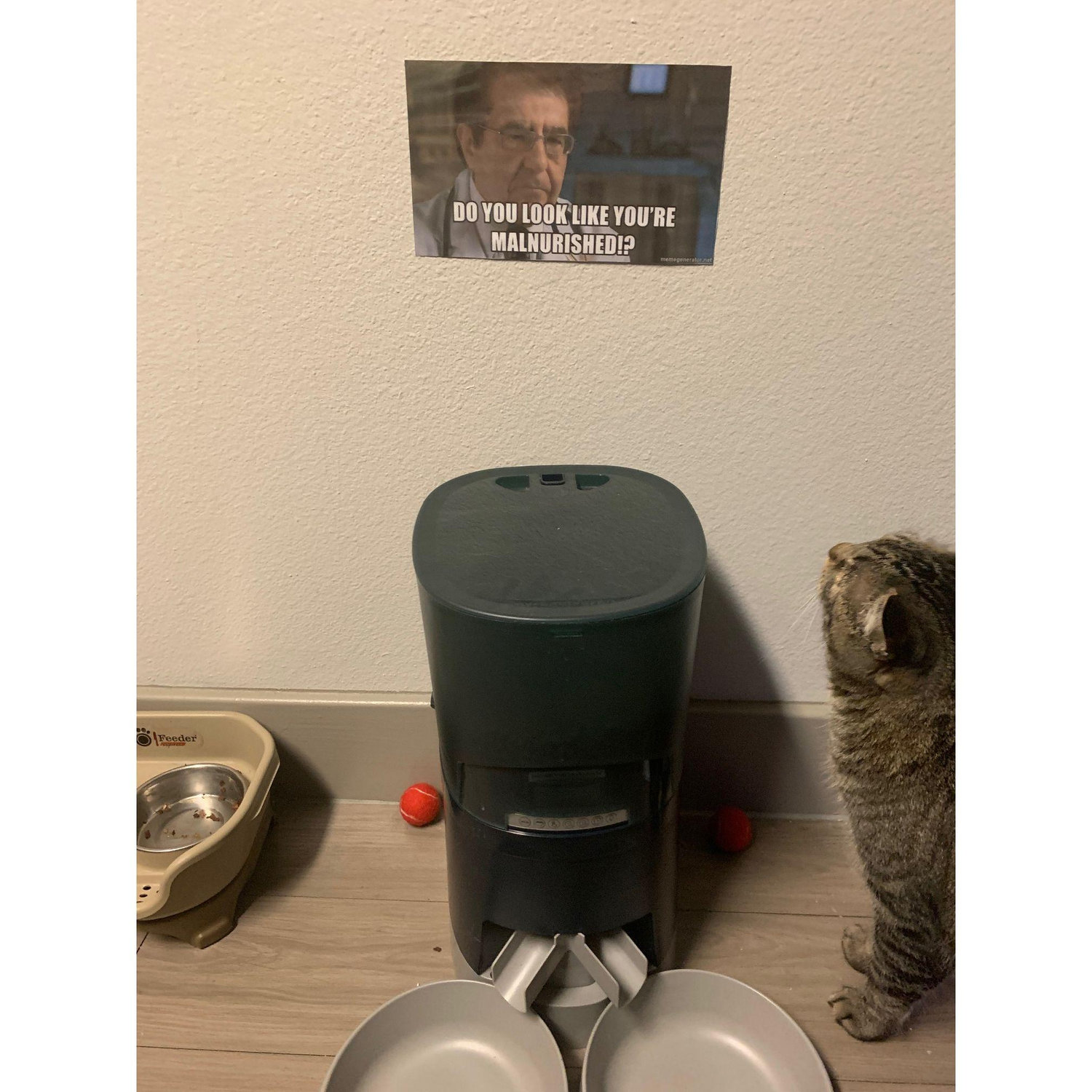 Dr.  Nowzaradan giving Bart some much needed reminders