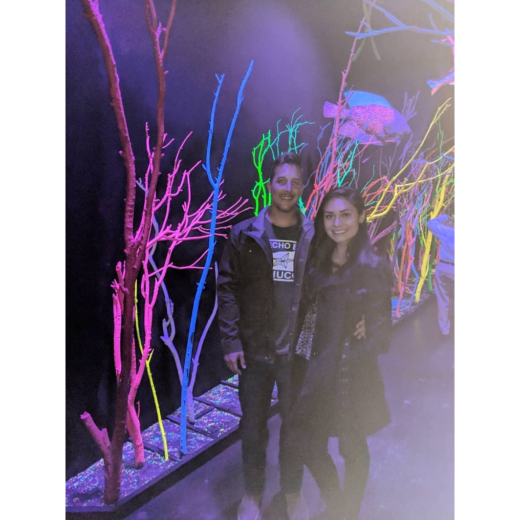 Meow Wolf in Santa Fe, NM. So much fun, we highly recommend!