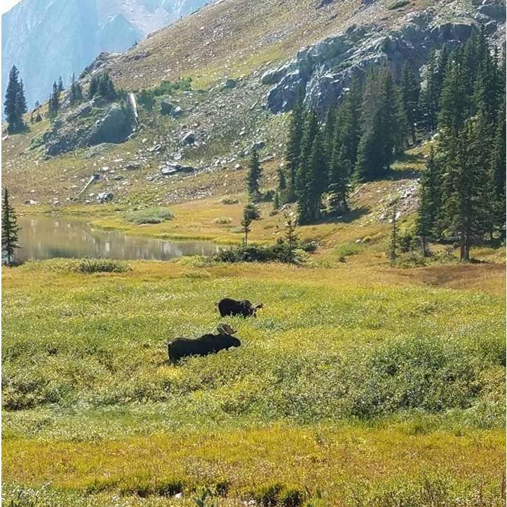 Picture taken by the bride near a trail in the mountains.