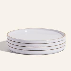(STEAM Color) Dinner Plates (Set of 4)