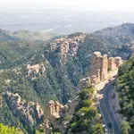 Mount Lemmon