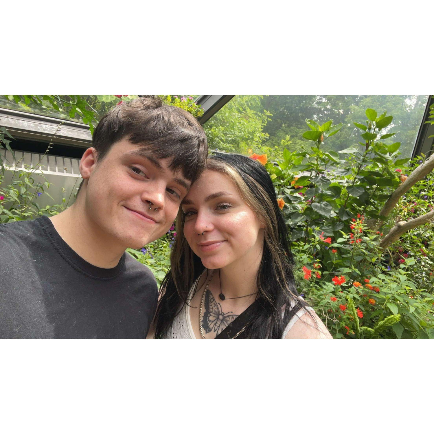 St. Louis zoo